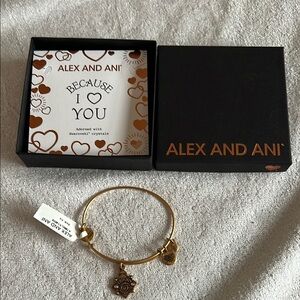 NWT Alex and Ani Gold Charm Bracelet - Because I Love You